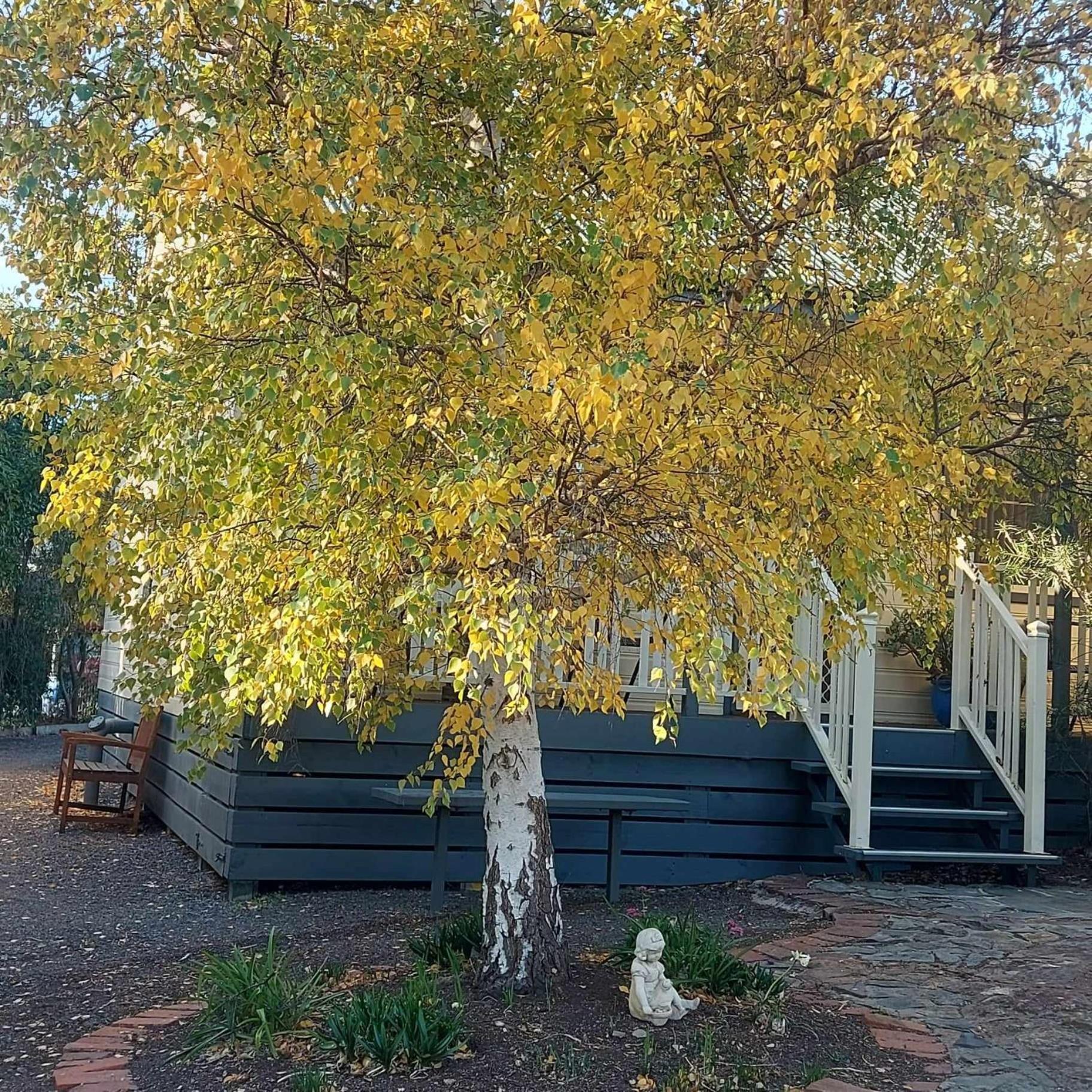 Avoca Cottages Victoria Экстерьер фото
